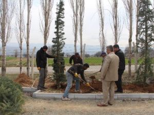 Esire Termal Turizm Merkezinde Çevre Düzenleme Çalışmaları