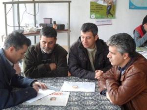 Burhaniye’de En Güzel Zeytin Bahçesi Yarışması