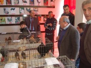 Lapseki’de Süs Tavukları Ve Bahçe Hayvanları Yetiştiricileri Derneği Açıldı