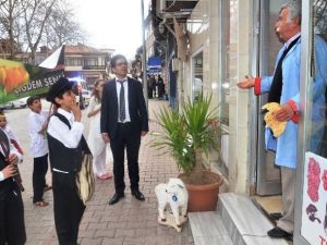 Çiğdem Şenliği’nde Renkli Görüntüler