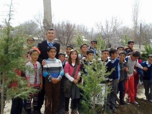 Adilcevaz’da Fidan Dikimi