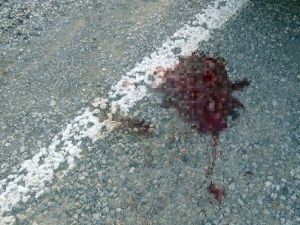 Erzincan’da Trafik Kazası: 3 Yaralı