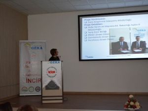’Kaybolan Toprakların Sessiz Kahramanı: İncir’ Projesi Her Şeyiyle Hazır