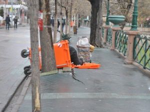 Çöp Konteynerlerini TEK TEK Devirip İçine Girdi