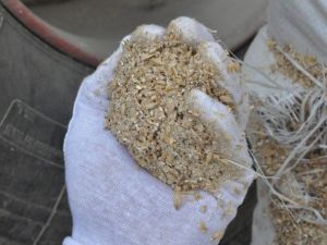 Arpa Yüklü Olması Gereken Tır’lardan Hububat Kırıntısı Çıktı