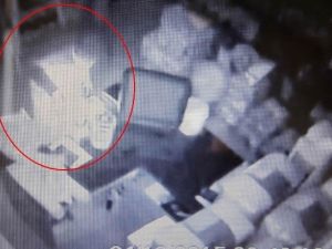 Şarküteride Yardım Kumbarasındaki Para Çalındı