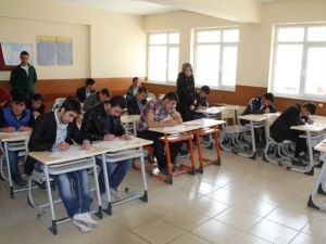 Başkale’de Kutlu Doğum Haftası Etkinliği