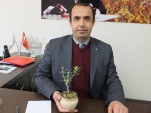 Burhaniye’de Zeytinyağı Ortak Akıl Toplantısı Yapılacak