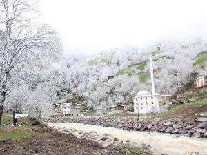Bahar’ın Kış’la Buluşması