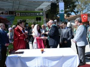 Köy Düğününde Damadı Yumurta Ve Una Bulayıp, Ahırda Yıkadılar