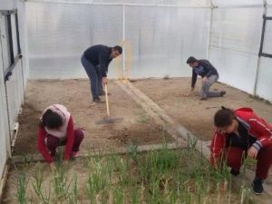 Engelli Öğrenciler İçin Kurulan Sera Faaliyete Geçti