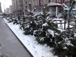 Ağrı’da Kar Yağışı