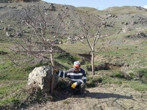 Yol Çalışması Meyve Bahçelerine Zarar Verdi