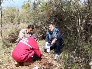 Çalınan Orkideler Ait Oldukları Yere Geri Dikildi