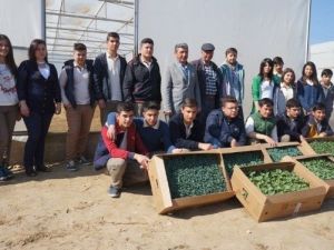 Sarıgöllü Çiftçiden Okula Fide Desteği
