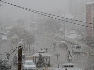 Muradiye’de Nisan Karı