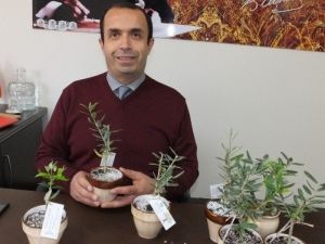 Burhaniye’de Zeytin Tanıtım Kampanyası