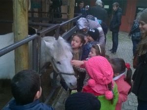 Miniklerin AT Sevgisi