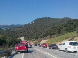 Aydın’da Ormanlık Alanda Yangın Paniği