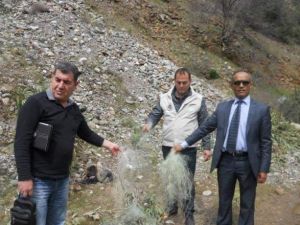 Dalaman’da Tırıvırı Avı Kontrolleri Yapıldı