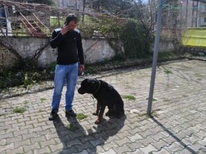 Kuduz Köpek Şüphesi Tüm Birimleri Seferber Etti