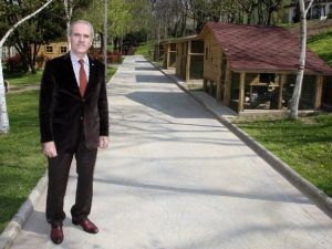 Kültürpark, Canlanıyor