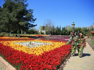 Gaziantep Çiçeklerle Güzelleşiyor