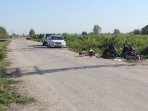 Kayıp Çocuğu "Haydut" Bulacak