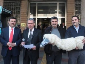 Postacılardan Kuzu Postuna Bürünmüş Kurtla Protesto