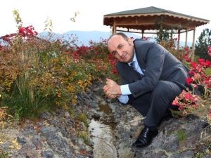 Rektör Orbay’dan Kutlu Doğum Mesajı