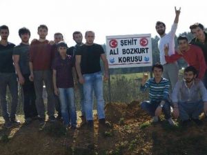 Yenice’de Şehit Ali Bozkurt Korusunun Tabelası Dikildi