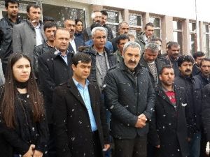 Diyadin Belediyesinin Giriş Camı İle Fidanlar Kırıldı