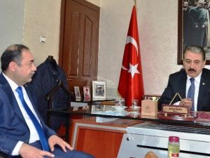 Keskin, Yıldız, Parlamentoya Gidecektir