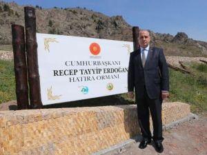Amasya’da Cumhurbaşkanı Erdoğan Adına Hatıra Ormanı Oluşturuldu