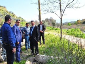 İsabeyli'de Piknik Alanları Bakıma Alınıyor