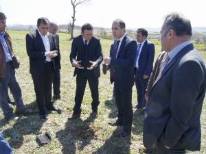 Asarcık’ta Trüf Mantarı Yetiştirilecek