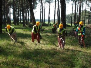 Piknik Havasında İş