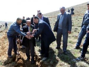 Hüyük’te 3 Bin Fidan Toprakla Buluşturuldu