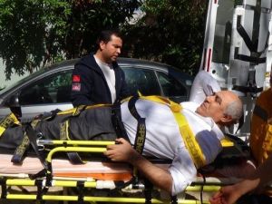 Kuşlara Yem Atmak İsteyen AK Parti İlçe Başkanı Hastanelik Oldu