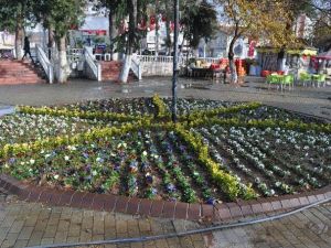 Silifke’de 100 Bin Çiçek Toprakla Buluştu