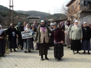 Kargı’da Yaşlılar Sağlıklı Yaşam İçin Yürüdü