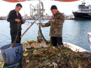 Sinoplu Balıkçılar: “Bilinçli Avlanmazsak Bu Günleri Ararız”