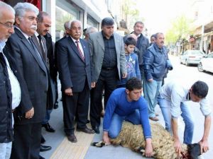 CHP Seçim Bürosu Açtı