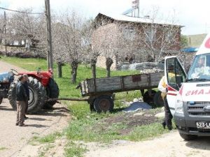 Traktörden Düşen Yaşlı Adam Öldü