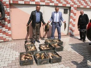 Yasak Dönemde Balık Avlayan Şahıslar Yakalandı