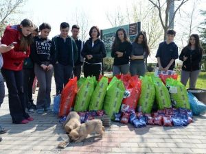 Harçlıklarını Can Dostları İçin Harcadılar