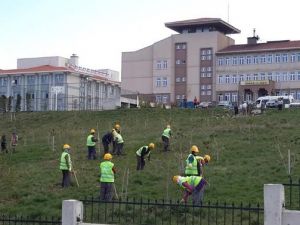 Pazarlar Anadolu Lisesi Bahçesi Bakımdan Geçti