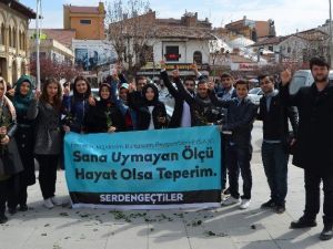 Üniversite Öğrencileri Gül Dağıttı