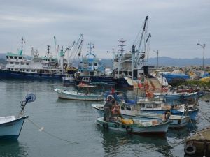 Balıkçılar Bu Sezon Umduğunu Bulamadı