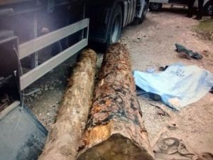 Tomrukların Altında Kalan Tır Sürücüsü Hayatını Kaybetti